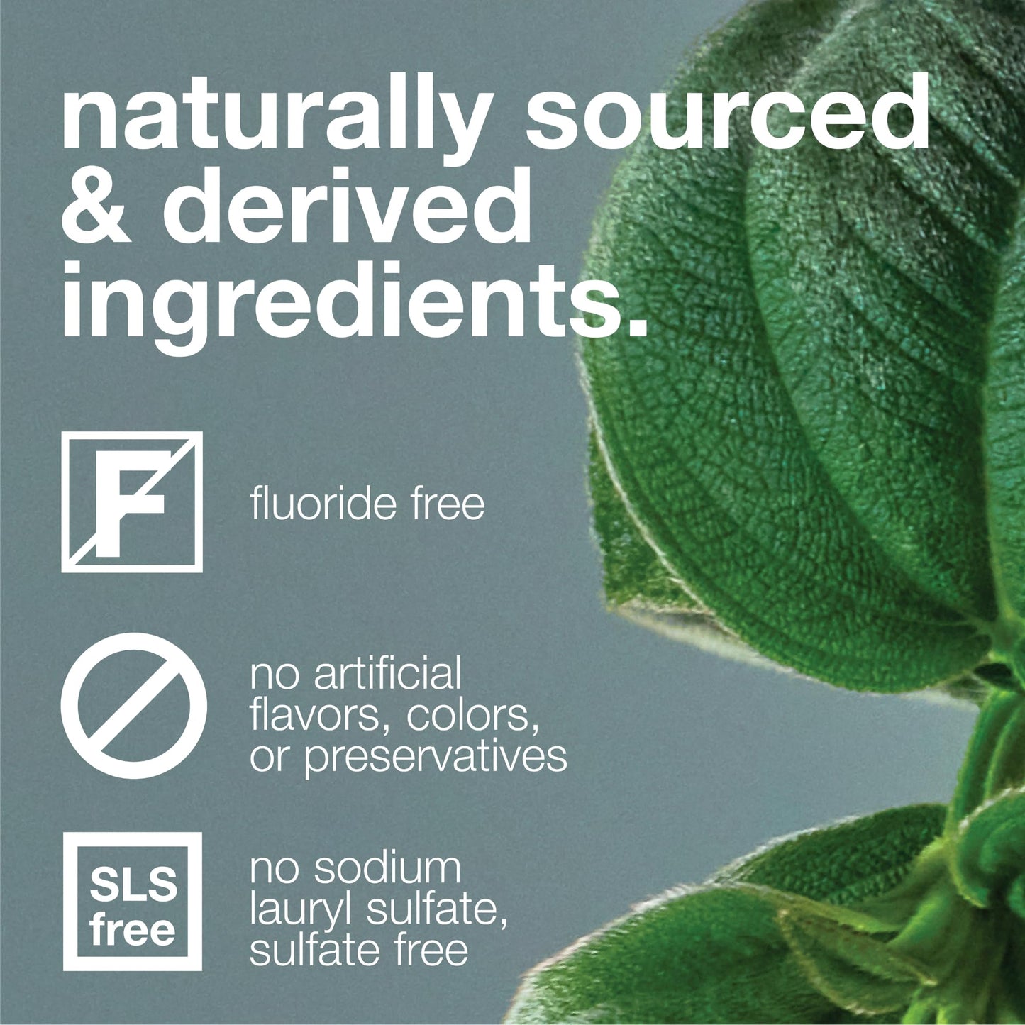 Davids Natural Toothpaste, SPEARMINT, Whitening, Antiplaque, Fluoride Free, SLS Free, 5.25 OZ Metal Tube, Tube Roller Incl.